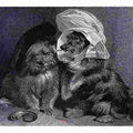 Two dogs dressed in comical human costumes.