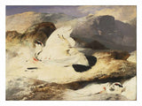 Ptarmigan in a Landscape artwork preview