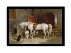 Favourites, the Property of H.R.H. Prince George of Cambridge