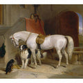 Favourites, the Property of H.R.H. Prince George of Cambridge