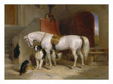 Favourites, the Property of H.R.H. Prince George of Cambridge artwork preview
