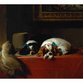 King Charles Spaniels ('The Cavalier's Pets')