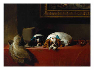 King Charles Spaniels ('The Cavalier's Pets')
