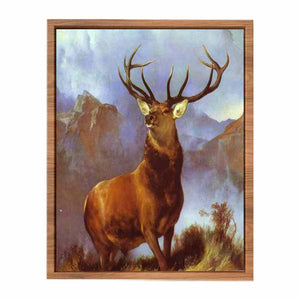 The Monarch of the Glen