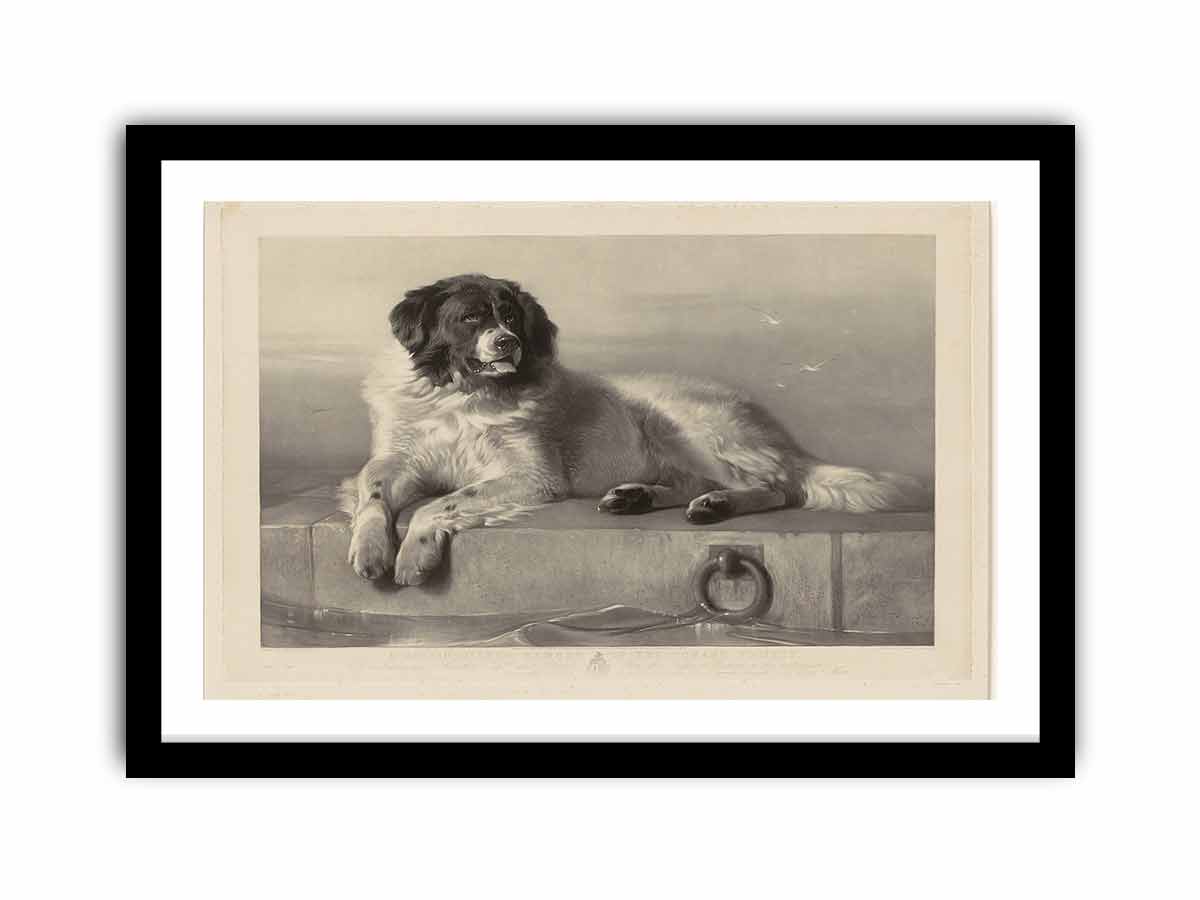 "A Distinguished Member of the Humane Society."