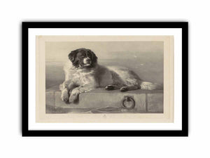 "A Distinguished Member of the Humane Society."