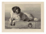 "A Distinguished Member of the Humane Society." artwork preview