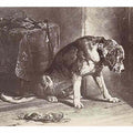 Fotoreproductie van een prent naar een schilderij van Edwin Henry Landseer"Suspense" Landseer