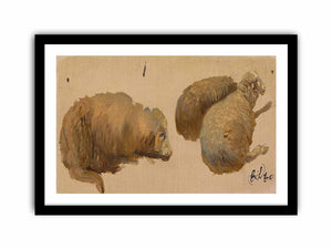 Three Sheep at Rest