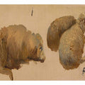 Three Sheep at Rest
