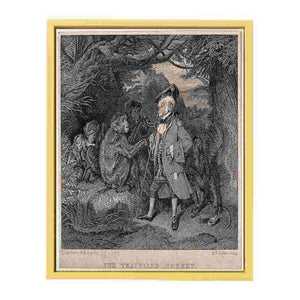 The Travelled Monkey