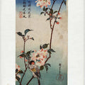 Kaido ni Shokin (Small Bird on a Branch of Kaidozakura)