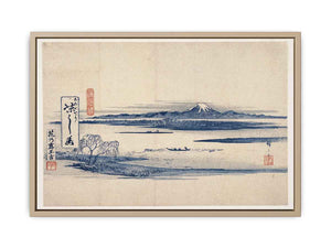 Cool Picture: View of Mt. Fuji
