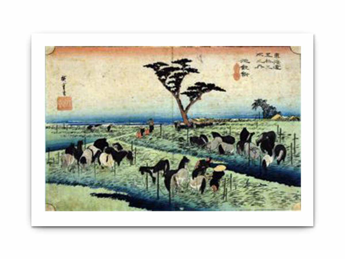 Chiryu- Summer Horse Fair