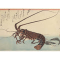 Crayfish and Two Shrimps