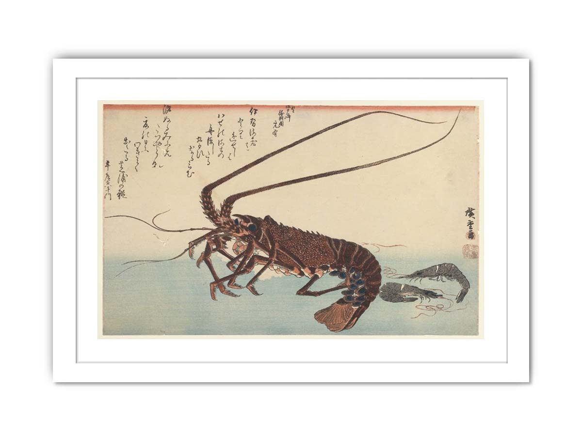 Crayfish and Two Shrimps