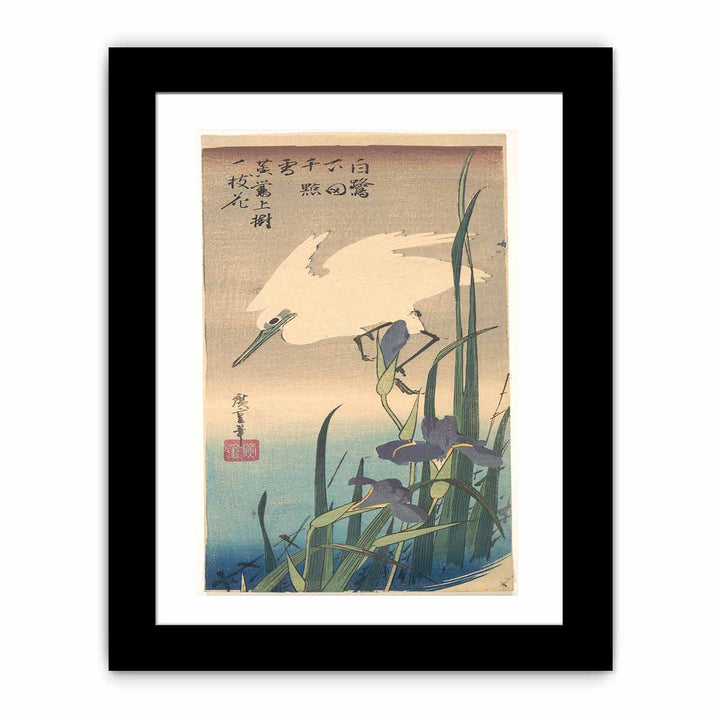 White Heron and Iris