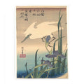 White Heron and Iris