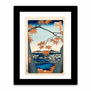 Maple Trees at Mama, Tekona Shrine and Linked Bridge