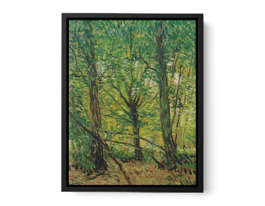 tree And Undergrowth By Vincent Van Gogh