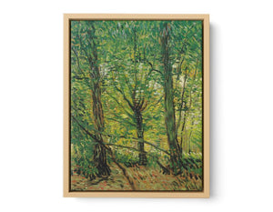 tree And Undergrowth By Vincent Van Gogh Artwork