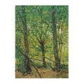 tree And Undergrowth By Vincent Van Gogh