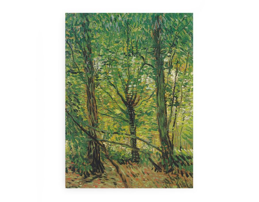 tree And Undergrowth By Vincent Van Gogh