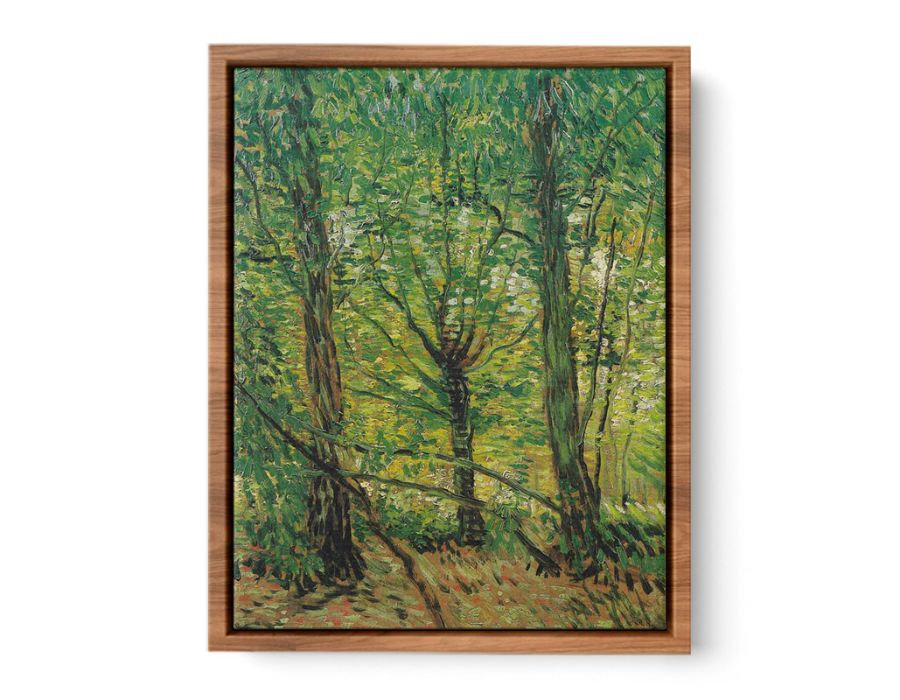 tree And Undergrowth By Vincent Van Gogh Streched canvas