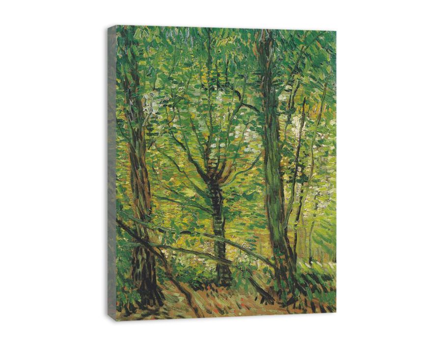 tree And Undergrowth By Vincent Van Gogh