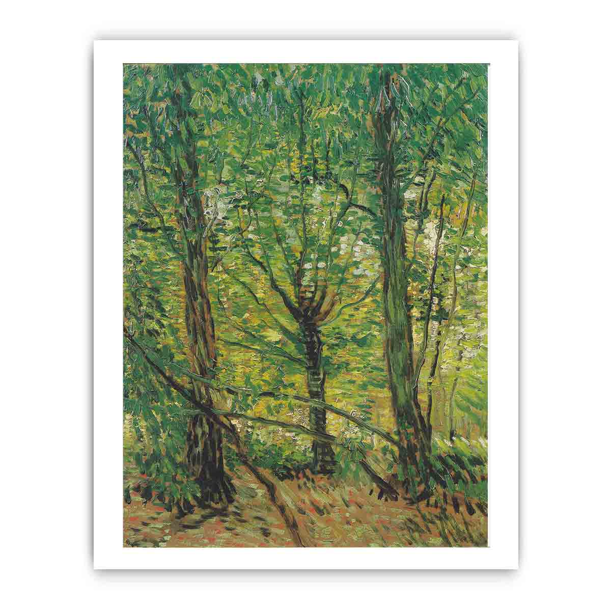 tree And Undergrowth By Vincent Van Gogh