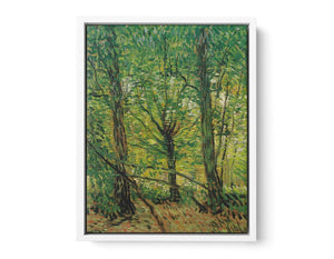 tree And Undergrowth By Vincent Van Gogh Art Print