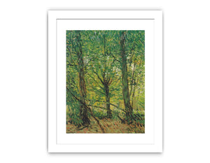 tree And Undergrowth By Vincent Van Gogh Famous painting