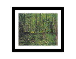 tree And Undergrowth By Van Gogh Canvas Print