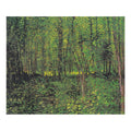 tree And Undergrowth By Van Gogh