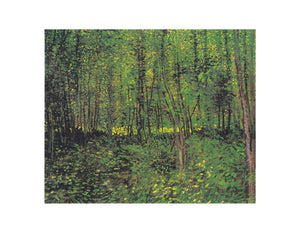 tree And Undergrowth By Van Gogh