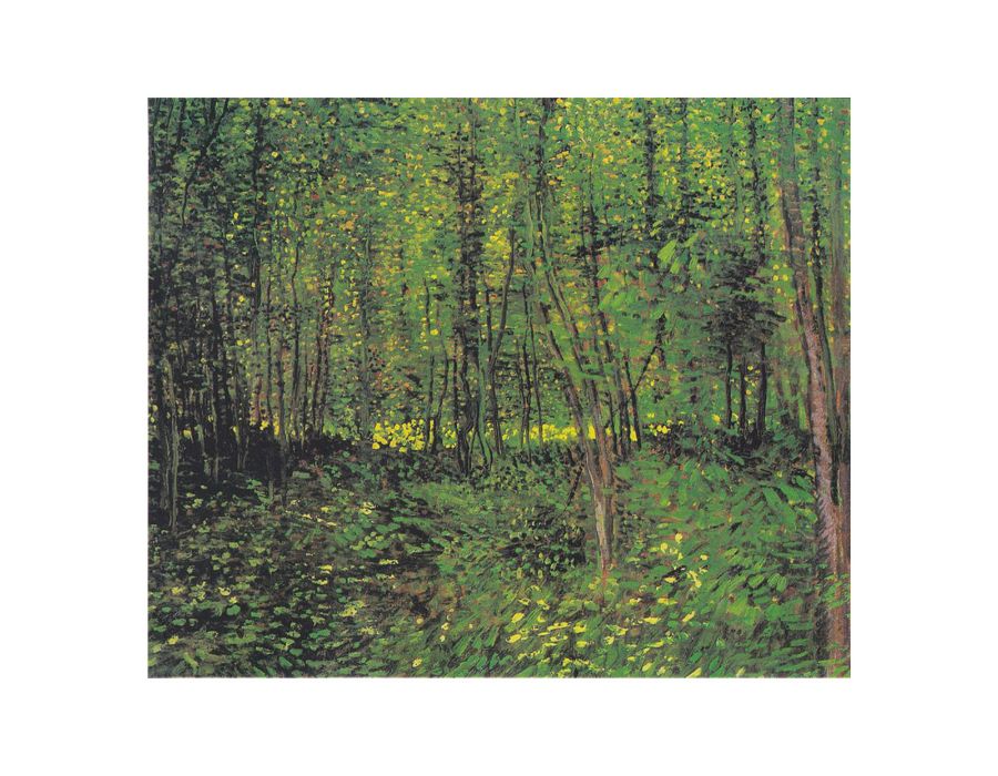 tree And Undergrowth By Van Gogh