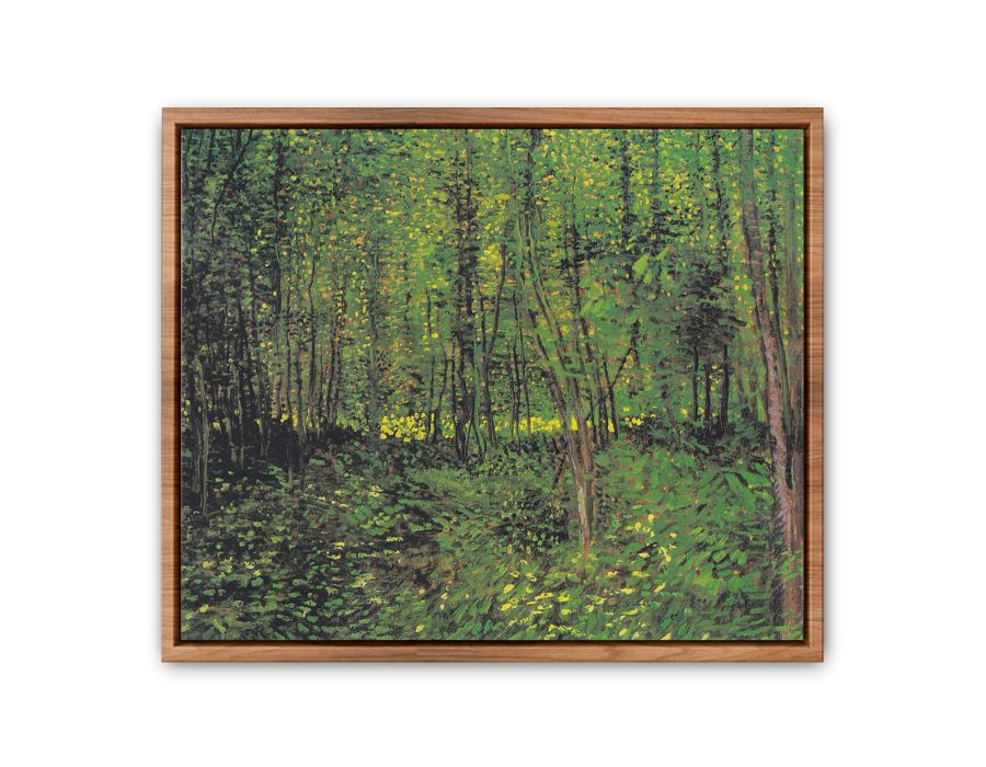 tree And Undergrowth By Van Gogh Streched canvas
