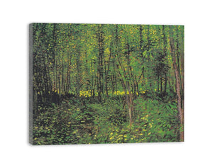 tree And Undergrowth By Van Gogh