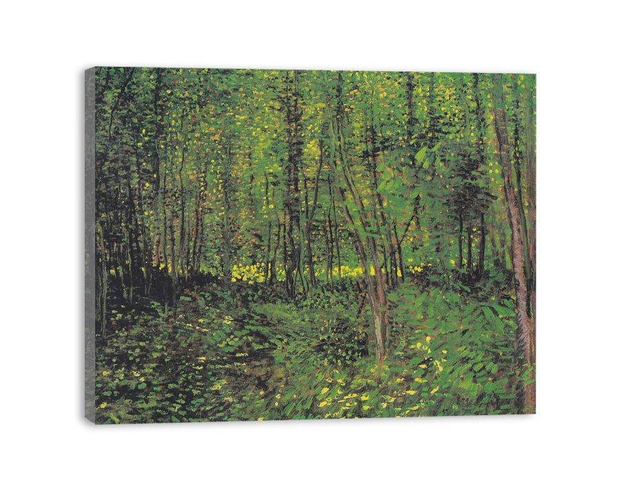 tree And Undergrowth By Van Gogh