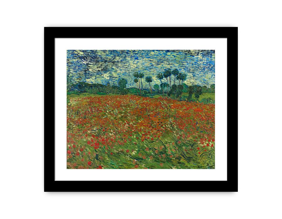 Poppy Field By Vincent Van Gogh Canvas Print