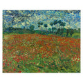 Poppy Field By Vincent Van Gogh
