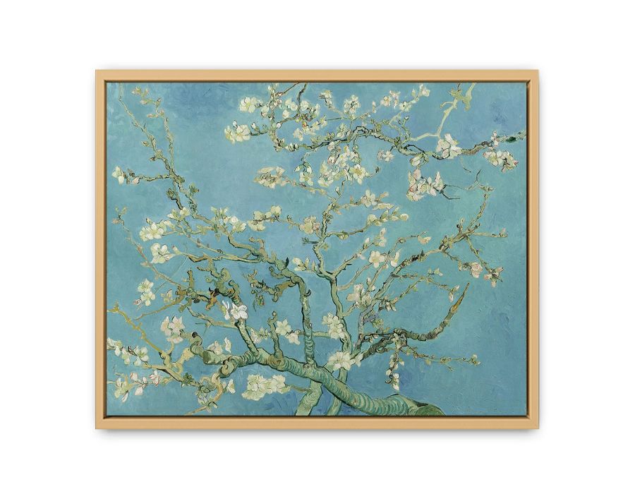 Blossoming Almond Tree Painting By Vincent Van Gogh Artwork