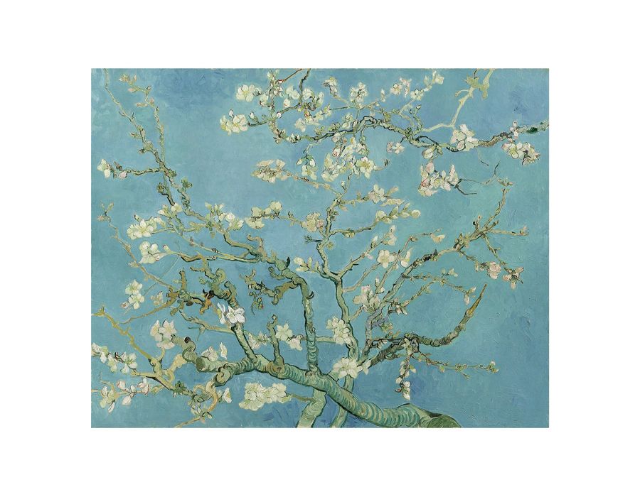 Blossoming Almond Tree Painting By Vincent Van Gogh