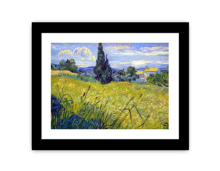 Green Field By Van Gogh Canvas Print