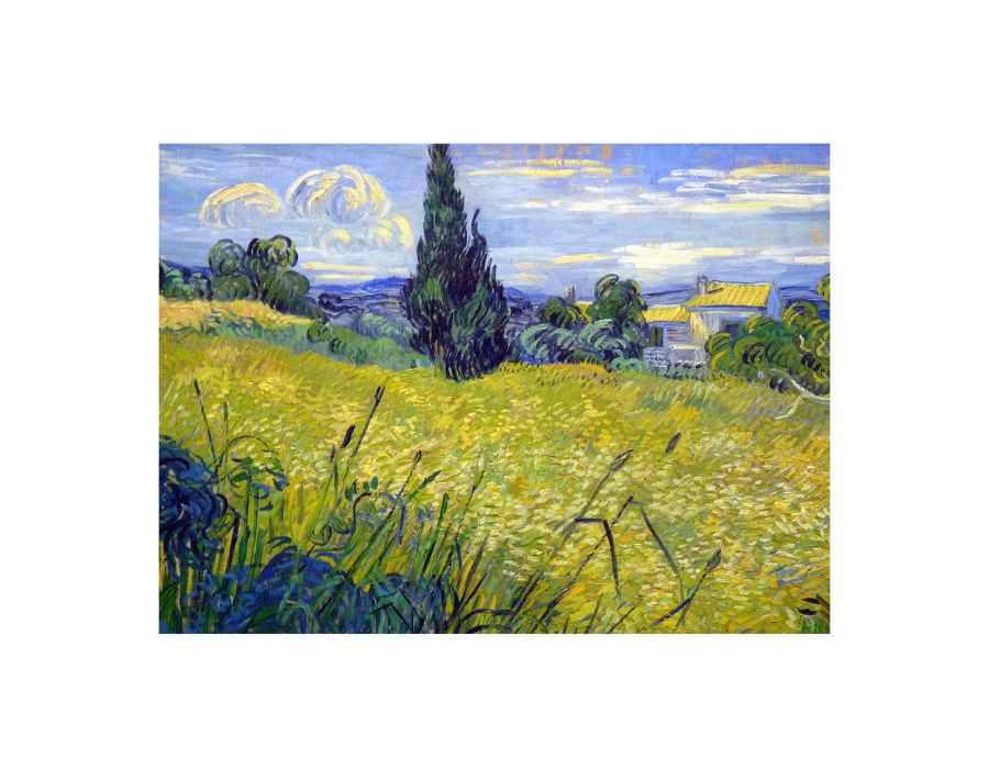 Green Field By Van Gogh