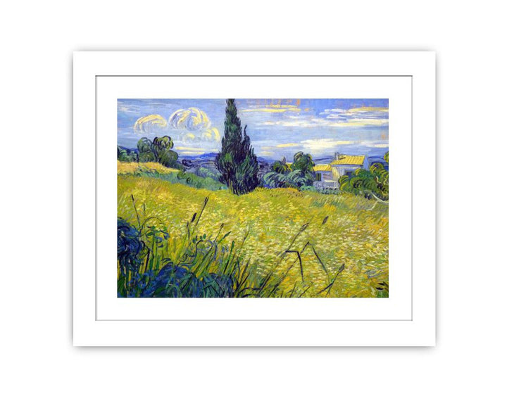 Green Field By Van Gogh