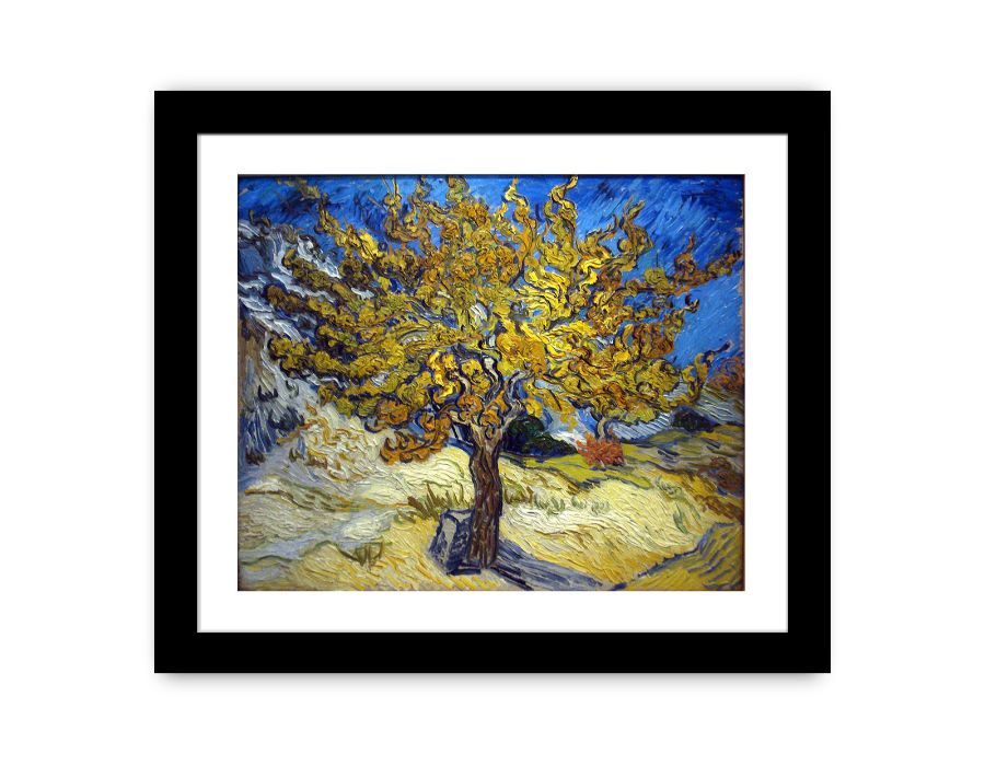 Mulberry Tree by Van Gogh Canvas Print