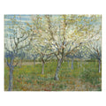 Pink & The White Orchard By Vincent Van Gogh