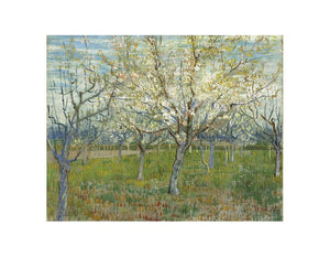 Pink & The White Orchard By Vincent Van Gogh