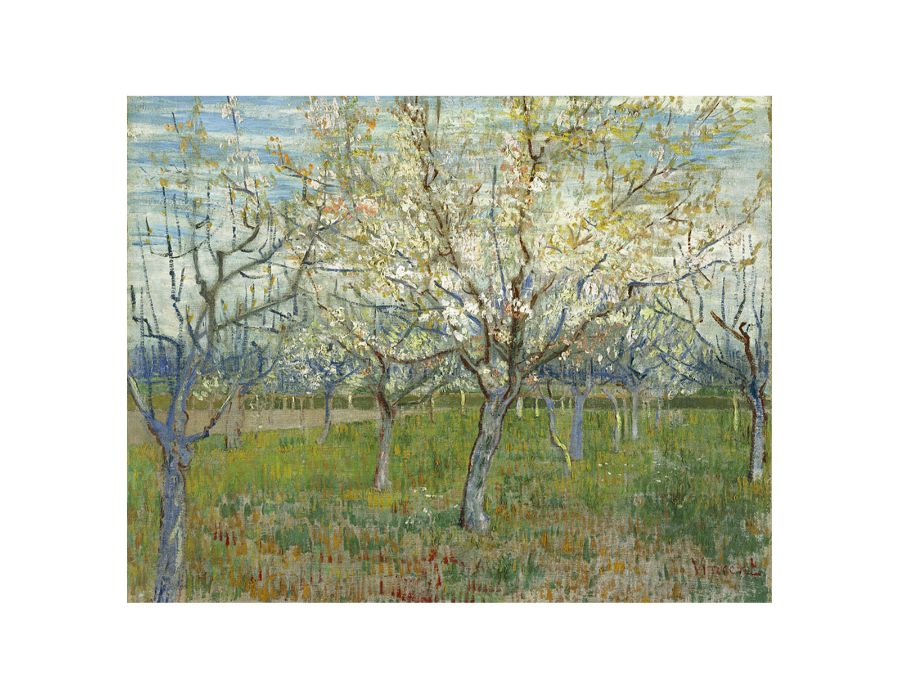 Pink & The White Orchard By Vincent Van Gogh